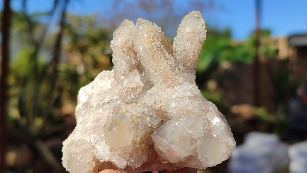 Natural White Spirit Quartz Clusters x 12 From Boekenhouthoek, South Africa - Toprock Gemstones and Minerals 