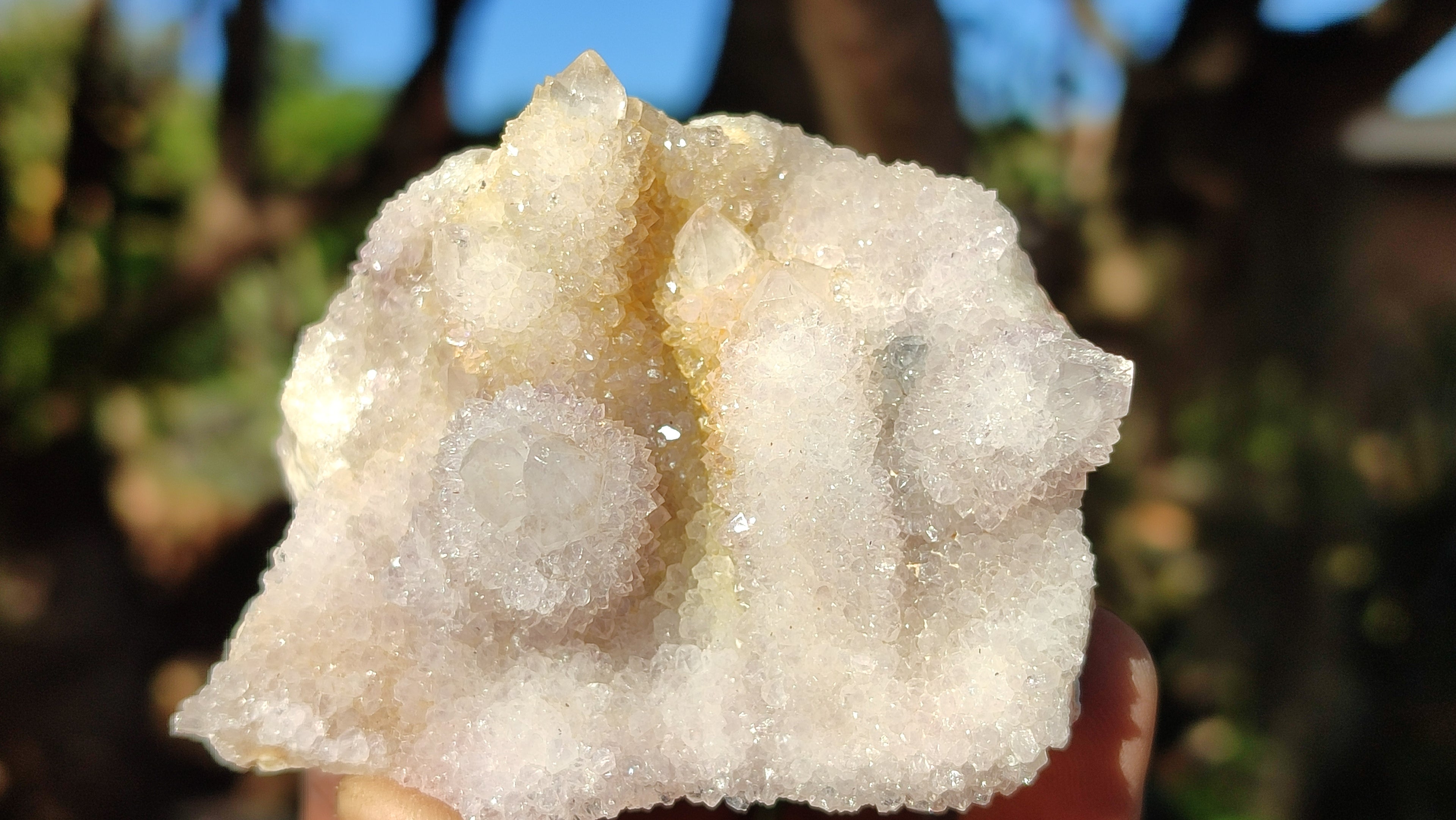 Natural White Spirit Quartz Clusters x 12 From Boekenhouthoek, South Africa - Toprock Gemstones and Minerals 