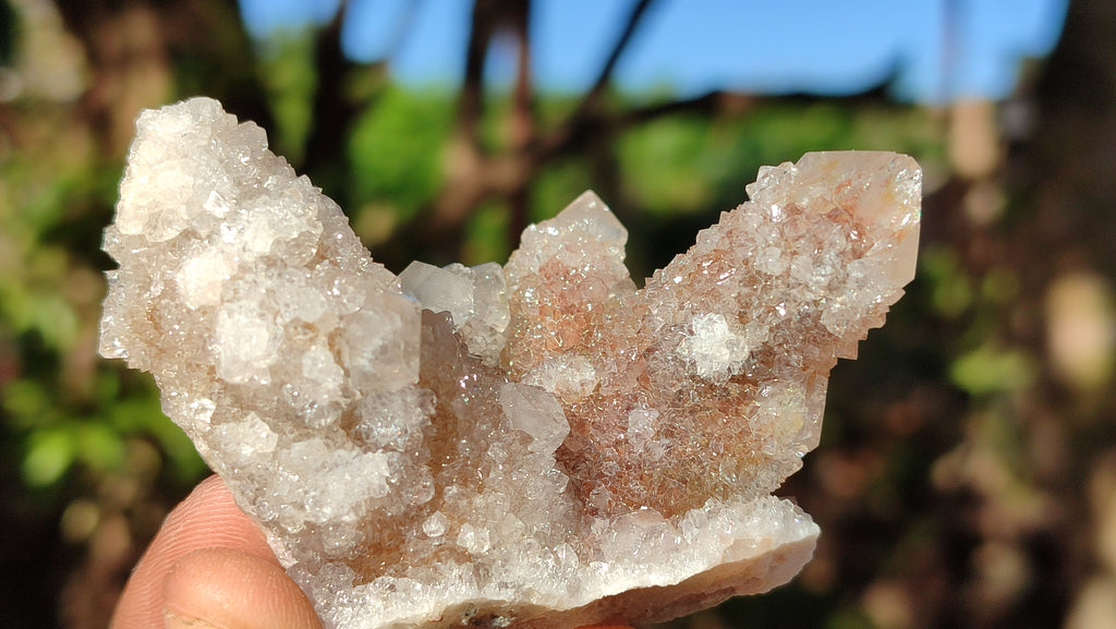 Natural White Spirit Quartz Clusters x 12 From Boekenhouthoek, South Africa - Toprock Gemstones and Minerals 