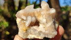 Natural White Spirit Quartz Clusters x 12 From Boekenhouthoek, South Africa - Toprock Gemstones and Minerals 