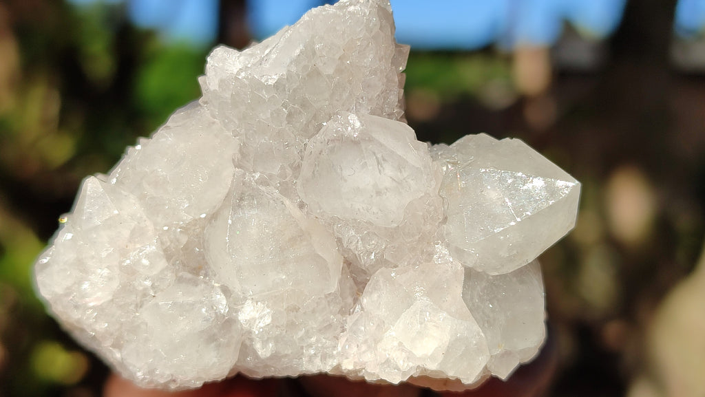 Natural White Spirit Quartz Clusters x 12 From Boekenhouthoek, South Africa - Toprock Gemstones and Minerals 