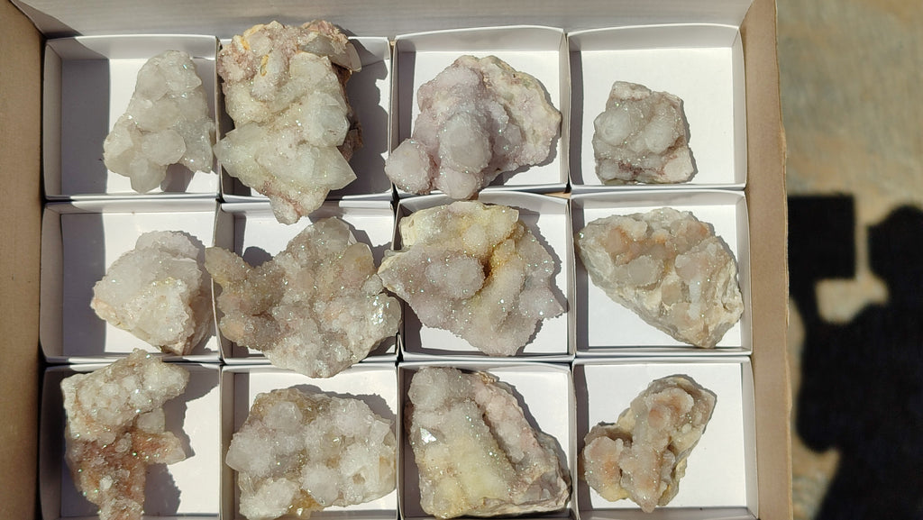 Natural White Spirit Quartz Clusters x 12 From Boekenhouthoek, South Africa - Toprock Gemstones and Minerals 