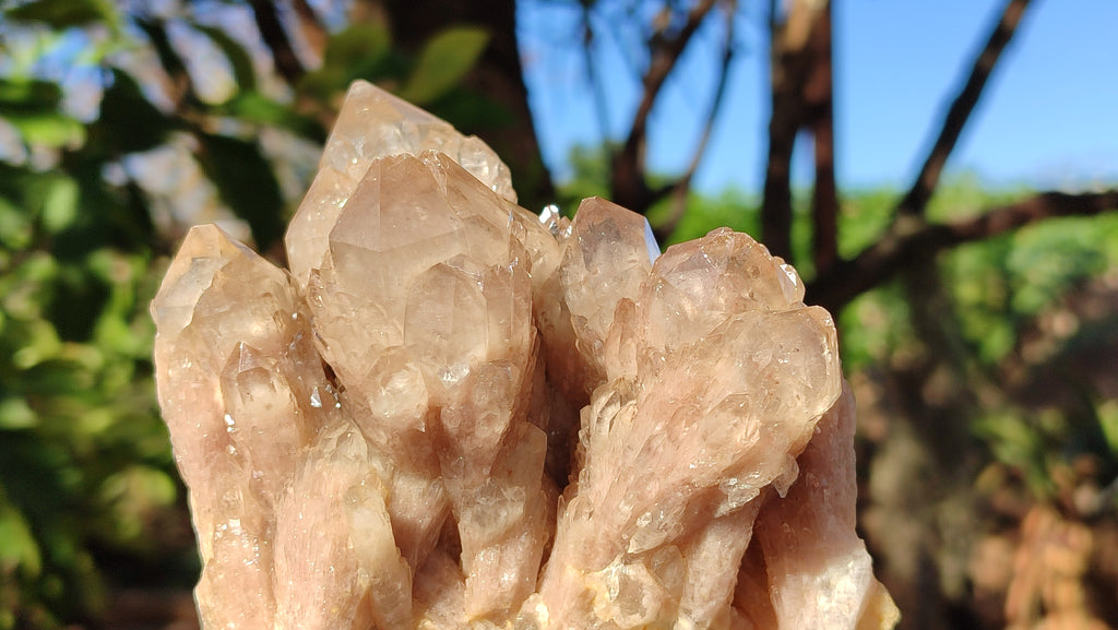 Natural Cascading White Phantom Smokey Quartz Clusters x 2 From Luena, Congo - Toprock Gemstones and Minerals 