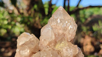Natural Cascading White Phantom Smokey Quartz Clusters x 2 From Luena, Congo - Toprock Gemstones and Minerals 