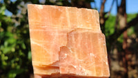 Natural New Sunset Orange Calcite Specimens  x 4 From Spitzkop, Namibia - Toprock Gemstones and Minerals 