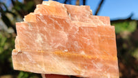 Natural New Sunset Orange Calcite Specimens  x 4 From Spitzkop, Namibia - Toprock Gemstones and Minerals 