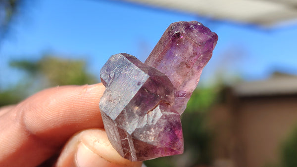 Natural Mini Window Amethyst Crystals  x 70 From Chiredzi, Zimbabwe - Toprock Gemstones and Minerals 