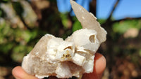 Natural Drusy Quartz Coated Calcite Pseudomorph Crystals x 12 From Alberts Mountain, Lesotho - Toprock Gemstones and Minerals 