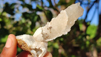Natural Drusy Quartz Coated Calcite Pseudomorph Crystals x 12 From Alberts Mountain, Lesotho - Toprock Gemstones and Minerals 