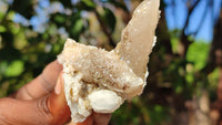 Natural Drusy Quartz Coated Calcite Pseudomorph Crystals x 12 From Alberts Mountain, Lesotho - Toprock Gemstones and Minerals 