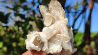 Natural Drusy Quartz Coated Calcite Pseudomorph Crystals x 12 From Alberts Mountain, Lesotho - Toprock Gemstones and Minerals 