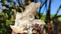 Natural Drusy Quartz Coated Calcite Pseudomorph Crystals x 12 From Alberts Mountain, Lesotho - Toprock Gemstones and Minerals 