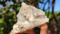 Natural Drusy Quartz Coated Calcite Pseudomorph Crystals x 12 From Alberts Mountain, Lesotho - Toprock Gemstones and Minerals 