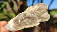 Natural Drusy Quartz Coated Calcite Pseudomorph Crystals x 12 From Alberts Mountain, Lesotho - Toprock Gemstones and Minerals 