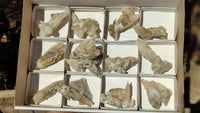 Natural Drusy Quartz Coated Calcite Pseudomorph Crystals x 12 From Alberts Mountain, Lesotho - Toprock Gemstones and Minerals 