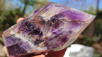 Polished Dream Amethyst Points x 3 From Madagascar - Toprock Gemstones and Minerals 