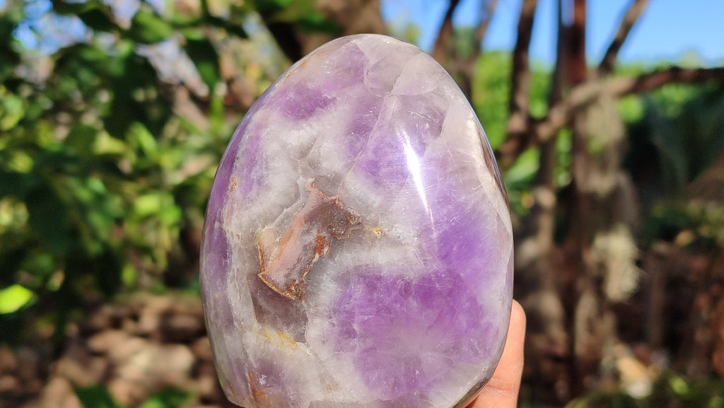 Polished Dream Amethyst Standing Free Forms x 2 From Madagascar - Toprock Gemstones and Minerals 