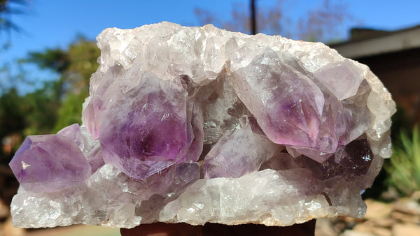 Natural Jacaranda Amethyst Clusters x 2 From Zambia - Toprock Gemstones and Minerals 