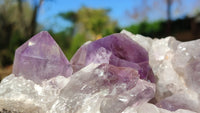 Natural Jacaranda Amethyst Clusters x 2 From Zambia - Toprock Gemstones and Minerals 