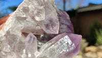 Natural Jacaranda Amethyst Clusters x 2 From Zambia - Toprock Gemstones and Minerals 