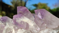 Natural Jacaranda Amethyst Clusters x 2 From Zambia - Toprock Gemstones and Minerals 