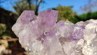 Natural Jacaranda Amethyst Clusters x 2 From Zambia - Toprock Gemstones and Minerals 