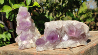 Natural Jacaranda Amethyst Clusters x 2 From Zambia - Toprock Gemstones and Minerals 