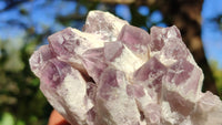 Natural Sugar Amethyst Clusters  x 6 From Solwezi, Zambia - Toprock Gemstones and Minerals 