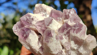 Natural Sugar Amethyst Clusters  x 6 From Solwezi, Zambia - Toprock Gemstones and Minerals 
