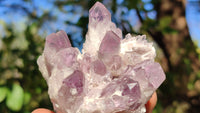 Natural Sugar Amethyst Clusters  x 6 From Solwezi, Zambia - Toprock Gemstones and Minerals 
