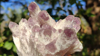 Natural Sugar Amethyst Clusters  x 6 From Solwezi, Zambia - Toprock Gemstones and Minerals 