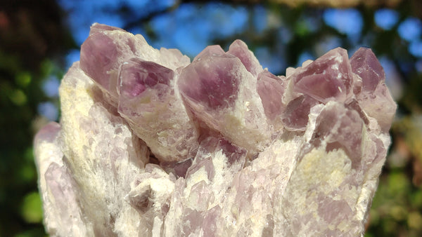 Natural Sugar Amethyst Clusters  x 6 From Solwezi, Zambia - Toprock Gemstones and Minerals 
