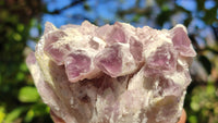 Natural Sugar Amethyst Clusters  x 6 From Solwezi, Zambia - Toprock Gemstones and Minerals 