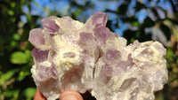 Natural Sugar Amethyst Clusters  x 6 From Solwezi, Zambia - Toprock Gemstones and Minerals 