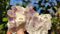 Natural Sugar Amethyst Clusters  x 6 From Solwezi, Zambia - Toprock Gemstones and Minerals 