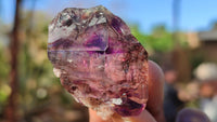Natural Window Amethyst Crystal Specimens  x 12 From Chiredzi, Zimbabwe - Toprock Gemstones and Minerals 
