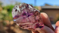 Natural Window Amethyst Crystal Specimens  x 12 From Chiredzi, Zimbabwe - Toprock Gemstones and Minerals 