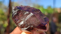 Natural Window Amethyst Crystal Specimens  x 12 From Chiredzi, Zimbabwe - Toprock Gemstones and Minerals 