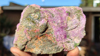 Natural Rough Stichtite Cobbed Specimens x 12 From Barberton, South Africa - Toprock Gemstones and Minerals 