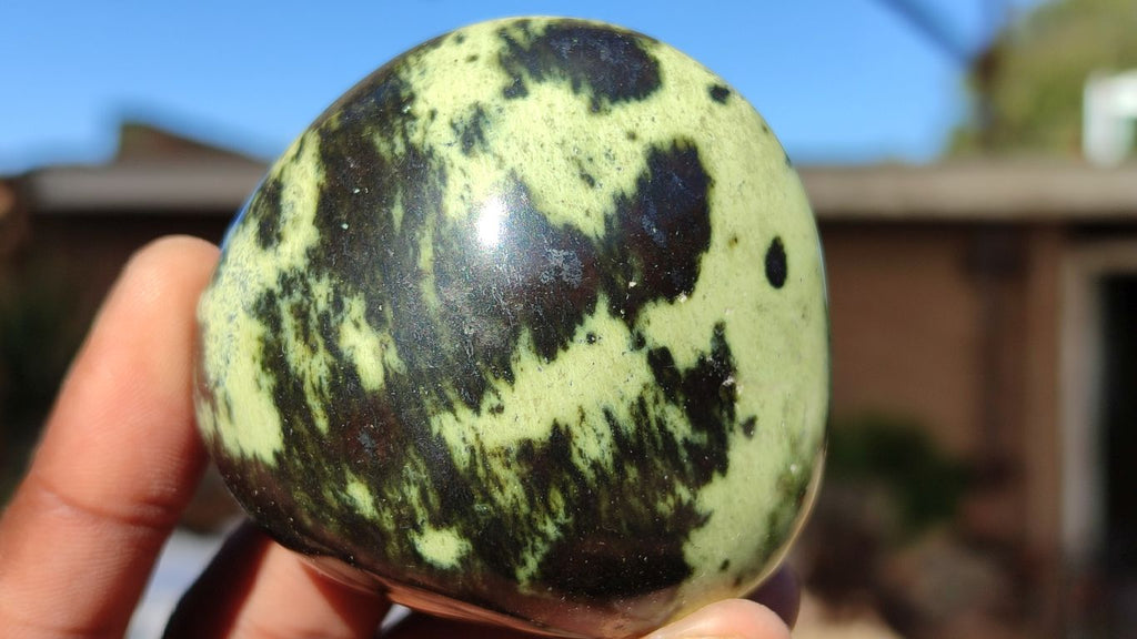 Polished Spotted Leopard Stone Gallets  x 6 From Zimbabwe - Toprock Gemstones and Minerals 