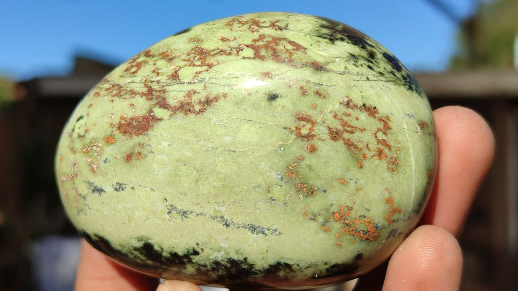 Polished Spotted Leopard Stone Gallets  x 6 From Zimbabwe - Toprock Gemstones and Minerals 