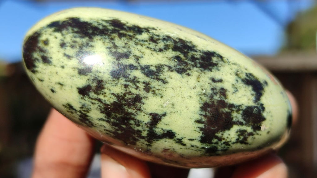 Polished Spotted Leopard Stone Gallets  x 6 From Zimbabwe - Toprock Gemstones and Minerals 