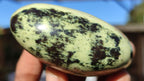 Polished Spotted Leopard Stone Gallets  x 6 From Zimbabwe - Toprock Gemstones and Minerals 
