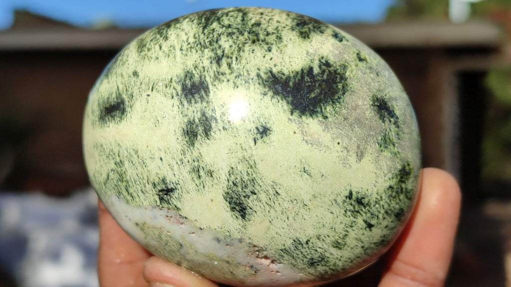 Polished Spotted Leopard Stone Gallets  x 6 From Zimbabwe - Toprock Gemstones and Minerals 