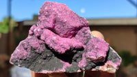 Natural Salrose Cobaltion Dolomite Specimens x 12 From Kakanda, Congo - Toprock Gemstones and Minerals 