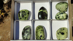 Polished Spotted Leopard Stone Standing Free Forms  x 7 From Zimbabwe - Toprock Gemstones and Minerals 