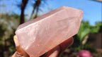 Polished Gemmy Pink Rose Quartz Points x 6 From Madagascar - Toprock Gemstones and Minerals 