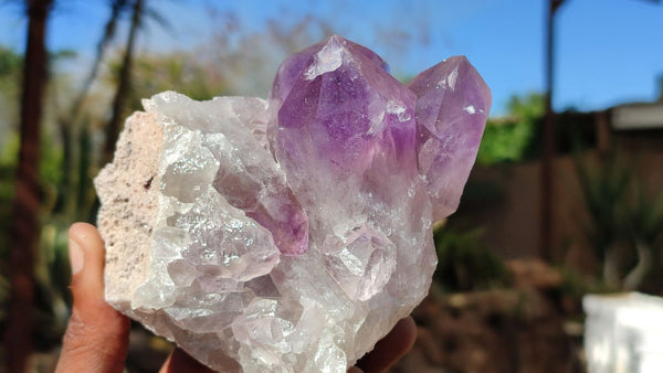 Natural Jacaranda Amethyst Clusters x 2 From Zambia - Toprock Gemstones and Minerals 
