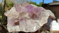 Natural Jacaranda Amethyst Clusters x 2 From Zambia - Toprock Gemstones and Minerals 