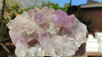 Natural Jacaranda Amethyst Clusters x 2 From Zambia - Toprock Gemstones and Minerals 